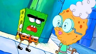 The two-sided view of the sponge man, you big crab, I don't want to bother with you