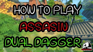 Ragnarok Rebirth : Guide how to play assasin dagger แนะนำวิธีเล่นแอสมีดคู่สเตตัสสกิลของสวมใส่petcard