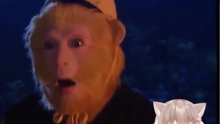 [When foreigners meet Zhu Bajie] The easiest way to lose weight! The Pink Cat King wants it too!