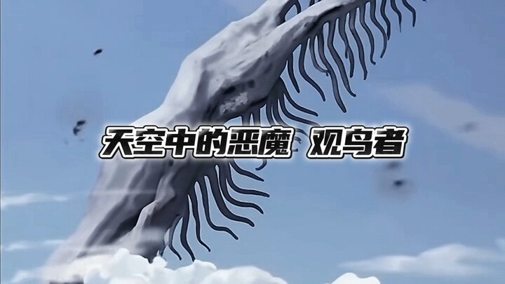 天空中的恶魔，观鸟者！
