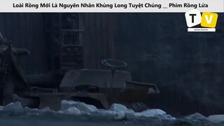 Loài Rồng Mới Là Nguyên Nhân Khủng Long Tuyệt Chủng __ Phim Rồng Lửa_p3