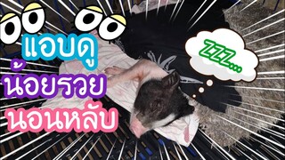 แอบมาดูน้องรวยนอนหลับ🐖🐷