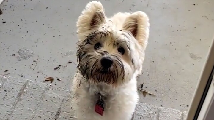 “Mom, I’m back from hanging out!”