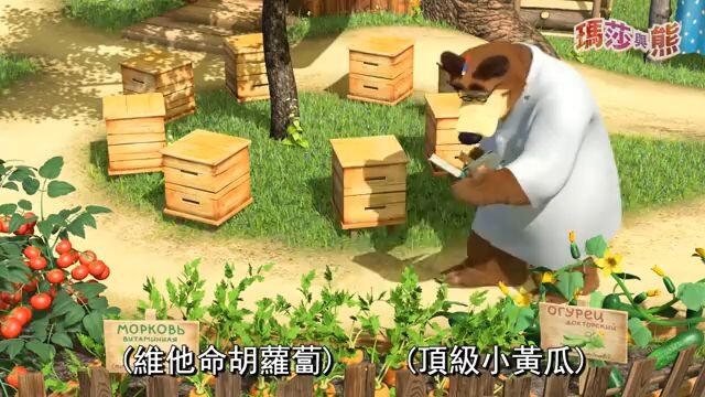 Masha And The Bear