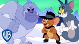 Tom & Jerry in italiano 🇮🇹 | Il problema Yeti | WB Kids