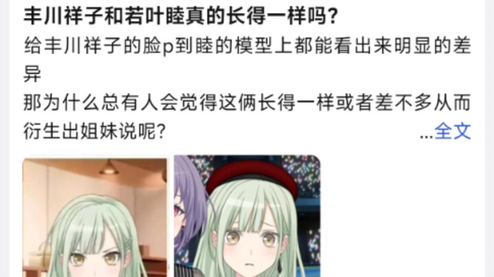 Do Toyokawa Shoko and Wakaba Mutsu really look alike?