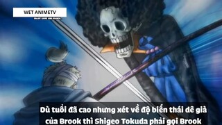 Top 5 Thanh Niên Dê Cụ Nhất trong One Piece #8 2
