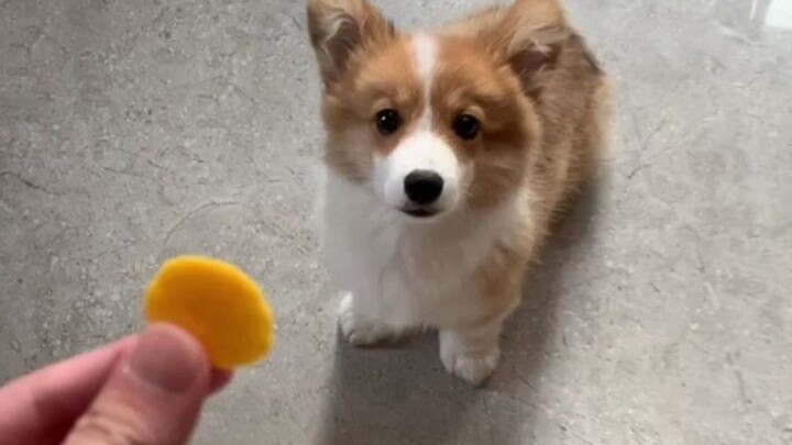 Should I send my child off to college now?