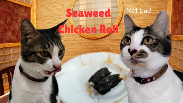 cats try seaweed Chicken Roll