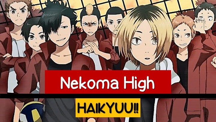 All Nekoma High Characters (都立音駒高校) - Haikyuu