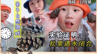 Don't throw away pine cones you find outdoors. Do pine cones close when exposed to water? Take your 