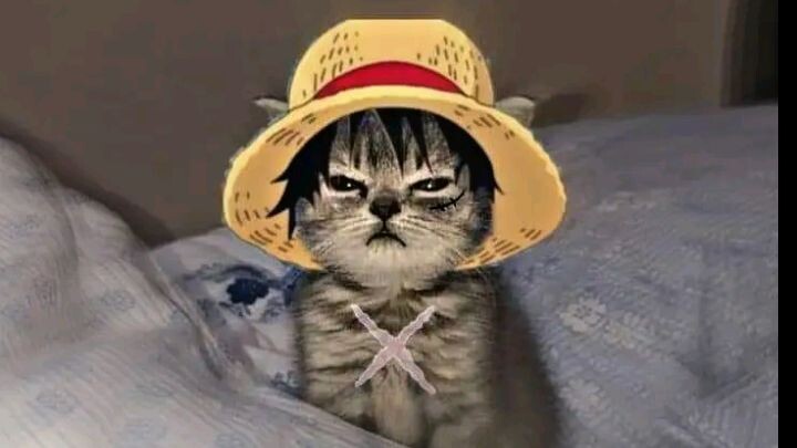 sakit bgt rasanya liat Luffy kek gini:(