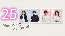 You Are My Secret ep 25 (sub indo)