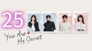 You Are My Secret ep 25 (sub indo)