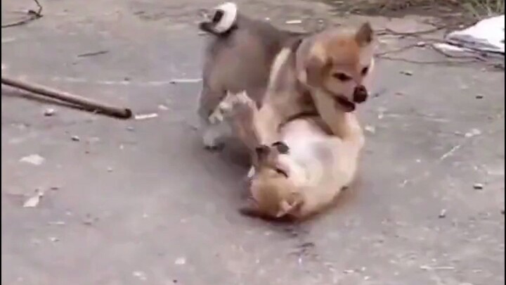 Hôm nay không ai có thể giúp tôi được.