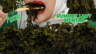 ASMR RAW SEAWEED || RUMPUT LAUT MENTAH |eucheuma cottoni| ASMR INDONESIA