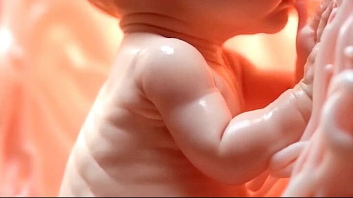 Baby inside the womb ❤ #baby