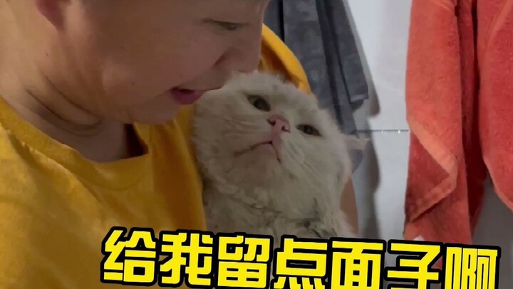 My cat ran out and was gone all day, but finally came home...