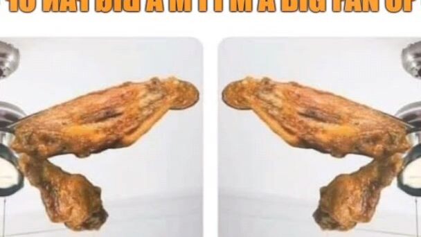 🍗🐓
