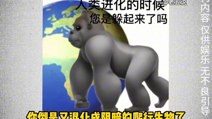 วงการคนปลอมส่งข่าวร้ายมา ประเด็นเกี่ยวกับสาวแมว