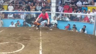 1st fight lipa cockfit arena #win