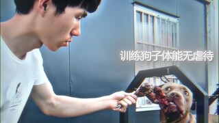 Anjing: Siapa yang bisa lebih cerdik darimu!