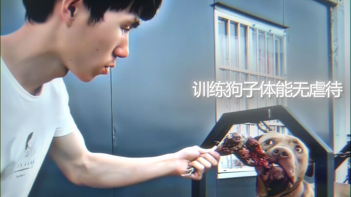 Dog: Who can be smarter than you!