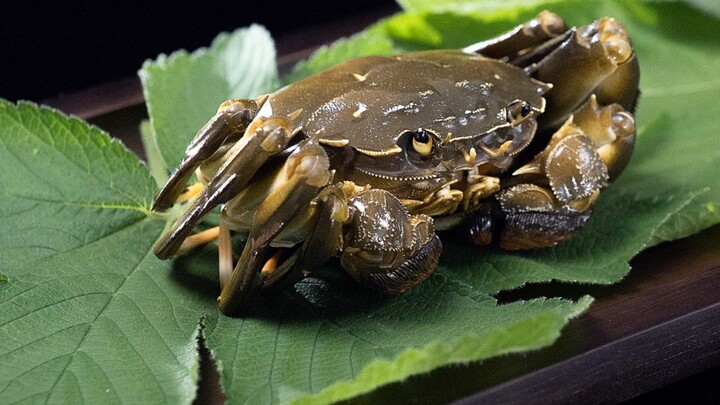 "Five Insects" series: Chinese mitten crab super movable model painting display
