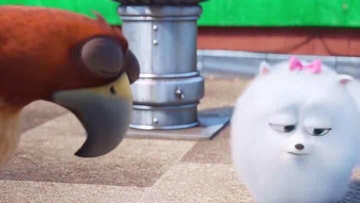 I am so moved to tears by the friendship between this eagle and this dog