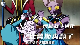 Dragon Ball Super 29: Bald Forest Battle Evolution, the will of the strongest man on earth, Beerus b