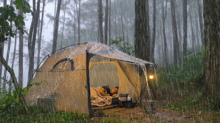 camping in heavy rain and thunderstorms⛈️