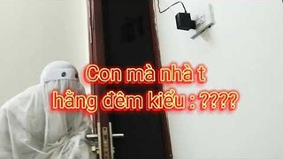 Ma chan hằng đêm kiểm :vvvv