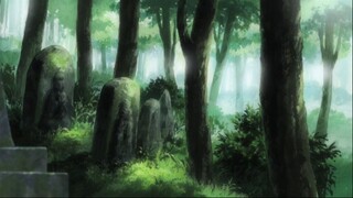 SF. KHU RỪNG ĐOM ĐÓM