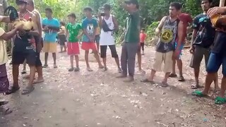 # Lightning PaaduLL 11