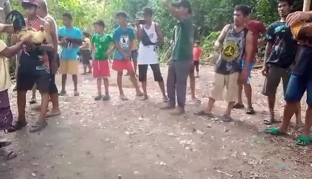 # Lightning PaaduLL 11