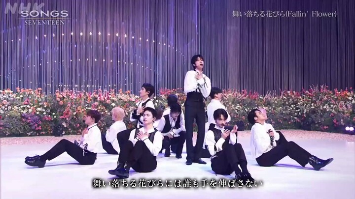 SEVENTEEN - FALLIN' FLOWER | NHK SONGS 230727