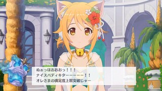 kucing yang imut