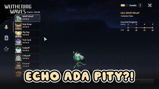 Farming Echo Lebih Mudah Dengan Pity? | Wuthering Waves