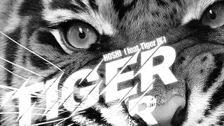 【SVT_ZER·0】权顺荣HOSHI - 老虎 (Feat. Tiger JK) 零站中字