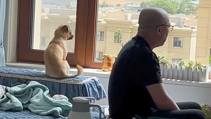 “Không thể nói là giống hệt, chỉ có thể nói là hoàn toàn trùng khớp!”