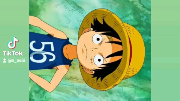 Mugiwara no luffy.