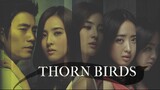The Thorn Birds E14 | Melodrama | English Subtitle | Korean Drama