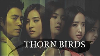 The Thorn Birds E10 | Melodrama | English Subtitle | Korean Drama