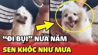 Chàng trai KHÓC NHƯ MƯA khi TÌM LẠI ĐƯỢC bé cún ĐI LẠC hơn NỬA NĂM ❤️ | Yêu Lu
