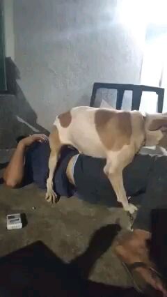 reason why you shouldn't drunk outside