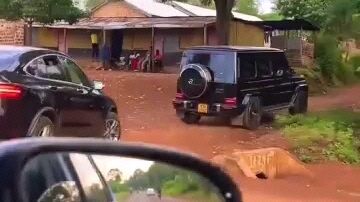 Real illuminati brotherhood agent in Uganda Kampala Call ☎️📞+256782561496📞+256756664682