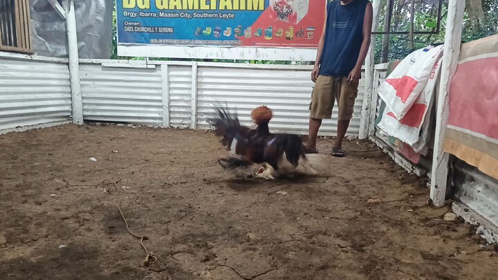 august 17, 2025 sparring session