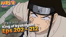 Naruto's training and growth- RANGKUMAN NARUTO EPISODE 202 - 212 BAHASA INDONESIA