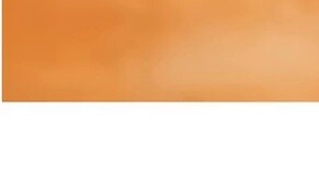 ชายคาดต้องรับโทษจำคุก 120 ปี เหตุทำให้ช่องคลอดอักเสบในสุกรหลายตัว