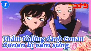 Thám tử lừng danh Conan|[Conan bị cắm sừng】Về Ran và Ai_1